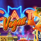 Cat in Vegas