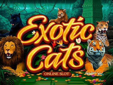 Exotic Cats